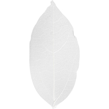 Https: www.cchobby.nl skeleton-leaves-l-6-8-cm-wit-20-stuk-1-doos