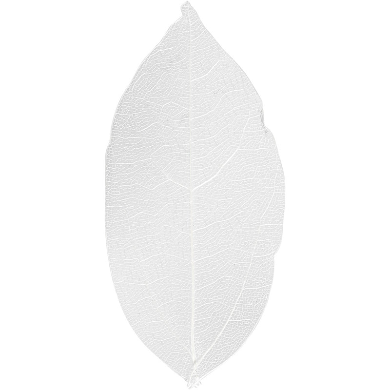 Afbeelding laden in galerijviewer, Https: www.cchobby.nl skeleton-leaves-l-6-8-cm-wit-20-stuk-1-doos
