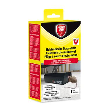 Pro-tect 1076861 - val muizen electronic 1st protect home | 1 stuks