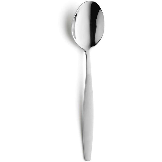 Amefa theelepeltjes 12st in c c box