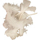 Https: www.cchobby.nl dons-afm-7-8-cm-ca-3750-stuk-wit-500-gr-1-doos