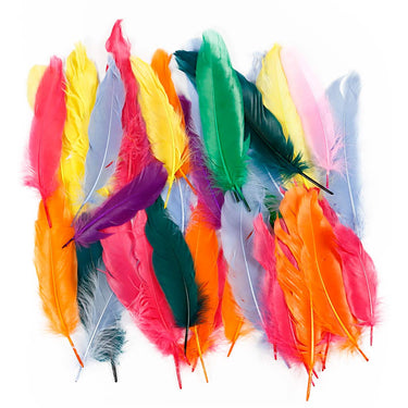 Http: www.cchobby.nl veren-l-12-15-cm-diverse-kleuren-350-stuk-1-doos