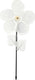 Creativ company http: www.cchobby.nl bloemen-windmolen-d-20-cm-10-stuk-1-doos
