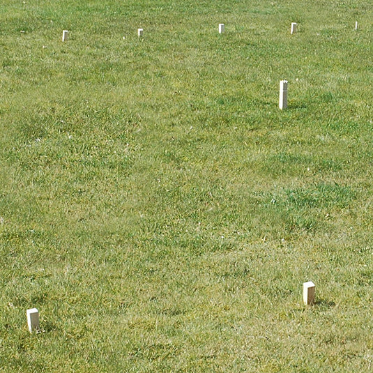 Goki schaakspel kubb vikingen medium