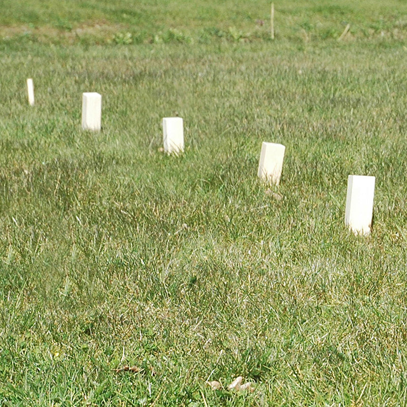 Load image into Gallery viewer, Goki schaakspel kubb vikingen medium
