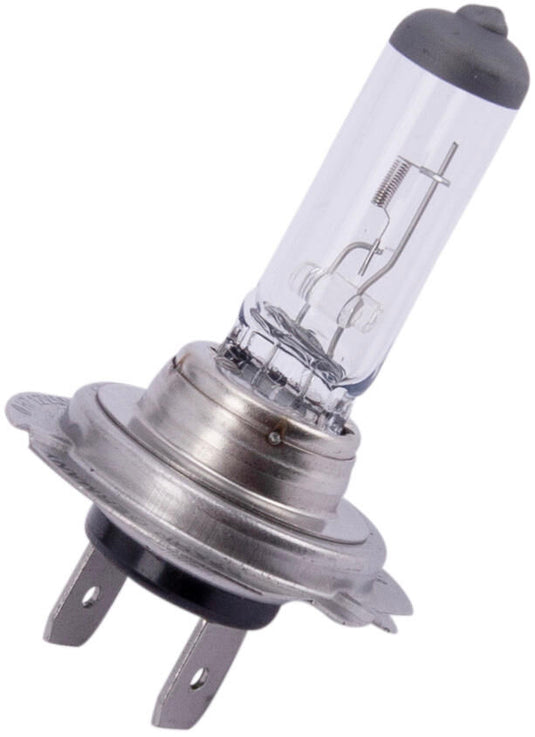 Spahn koplamp gloeilamp h7 headlight bulb 12v 55w h7 px26d