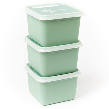 Dbp alaska diepvriesdozen vierkant 0.5l 3 stuks mintgroen