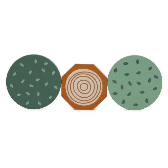 Small foot - houten bouwblokken dino, 50dlg.