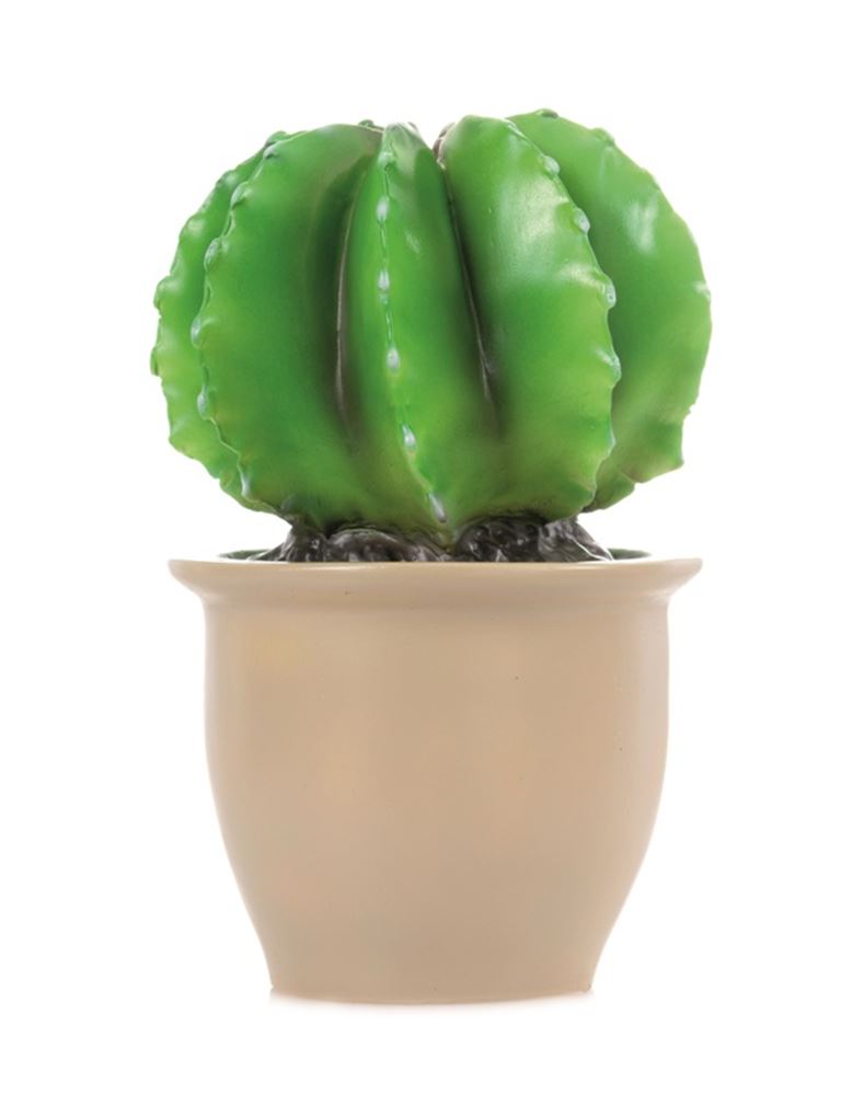 Afbeelding laden in galerijviewer, Egmont lamp cactus in bloempot 27x16,5
