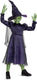 Disguise wicked (nbc universal), elphaba deluxe, maat xs (3t-4t jaar), meisjes