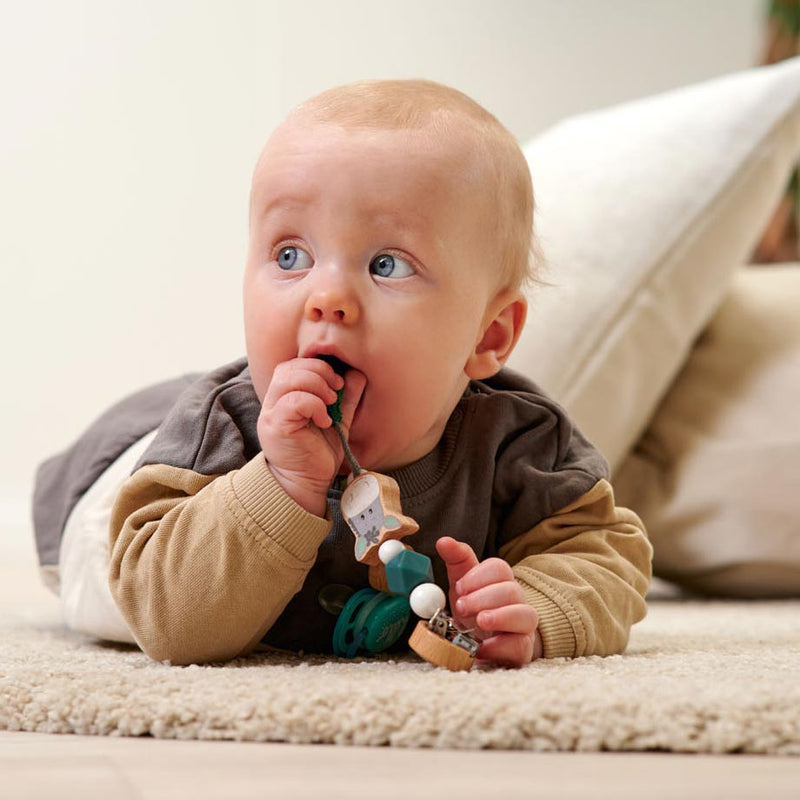 Load image into Gallery viewer, Eichhorn Baby HIPP Fopsteenketting Ezel
