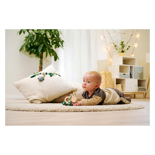Eichhorn baby hipp houten duwfiguur ezel