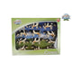 Kids globe koe 1:32 zwart wit liggend staand 12 st