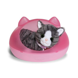 Load image into Gallery viewer, Baby born my cat cookie with box

