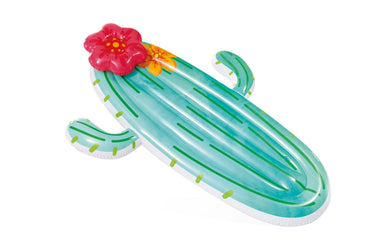 Intex cactus luchtbed