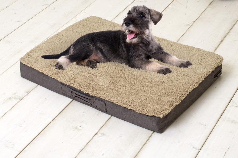 Load image into Gallery viewer, Sun garden buddy orthopedisch hondenkussen 72x50x8cm beige donkerbuin
