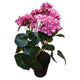 Mansion atmosphere kunstplant pelargonium roze 42cm