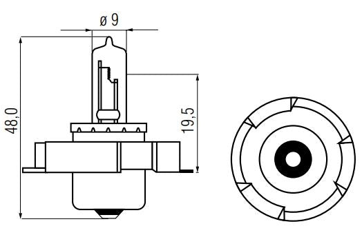 Bulb 12V-15W P26S halogen