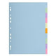 Tabbladen europa 1610e a4 210x297mm 170gsm assorti pak 10 stuks