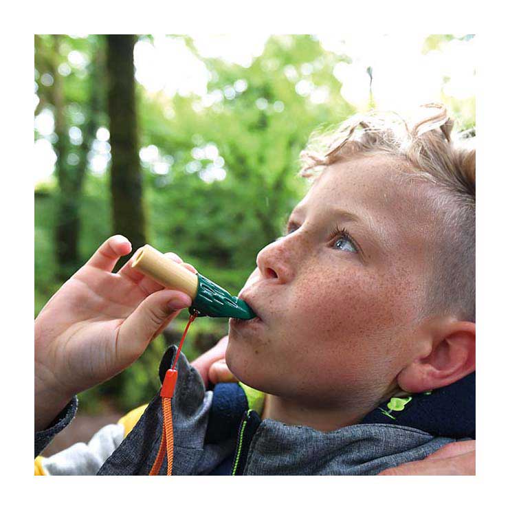 Load image into Gallery viewer, Hape naturdetektiv-set
