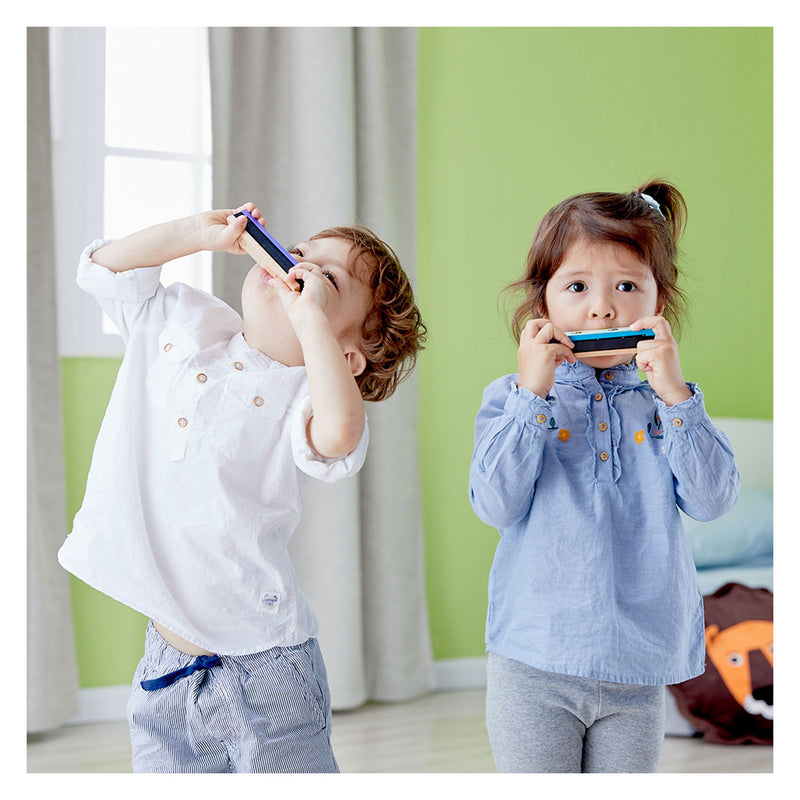Load image into Gallery viewer, Classic world mondharmonica
