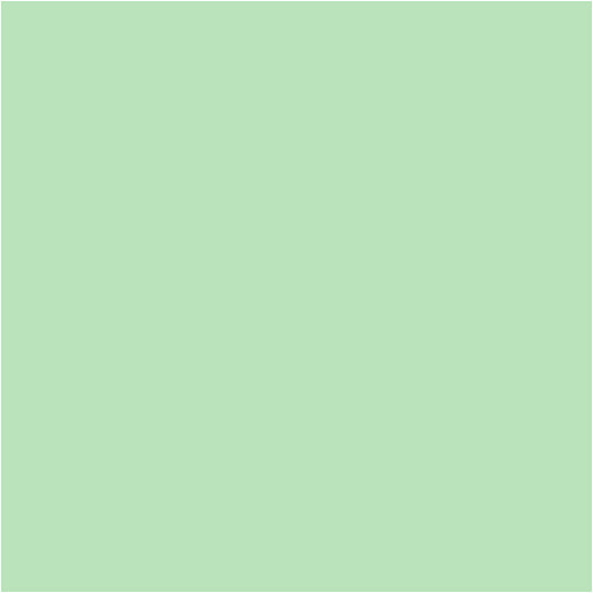 Creativ company papier lichtgroen a4 80gr, 20st.