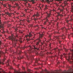 Creativ company glitterlijm donkerroze, 25ml