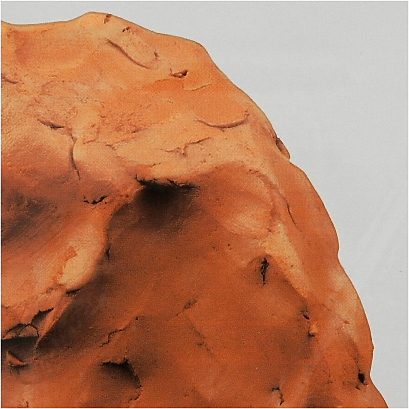 Load image into Gallery viewer, Creativ company https: www.cchobby.nl zelfhardende-klei-terracotta-1000-gr-1-doos
