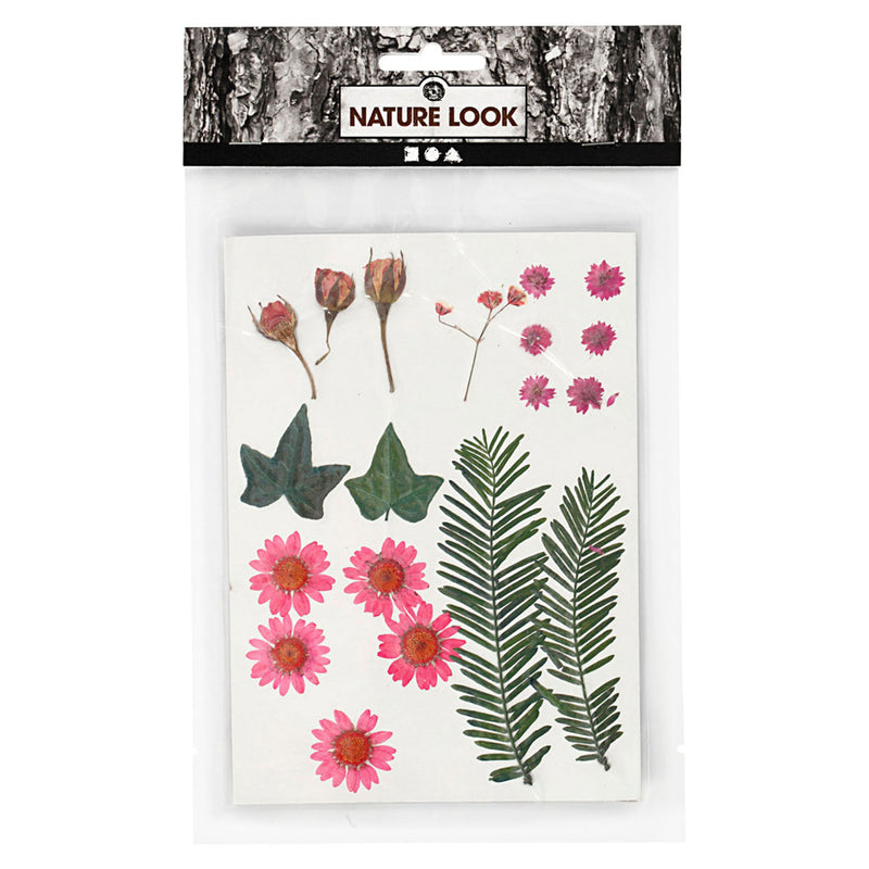 Load image into Gallery viewer, Creativ company gedroogde bloemen en bladeren lichtrood, 19dlg.
