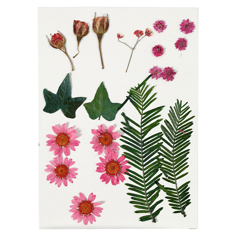 Load image into Gallery viewer, Creativ company gedroogde bloemen en bladeren lichtrood, 19dlg.

