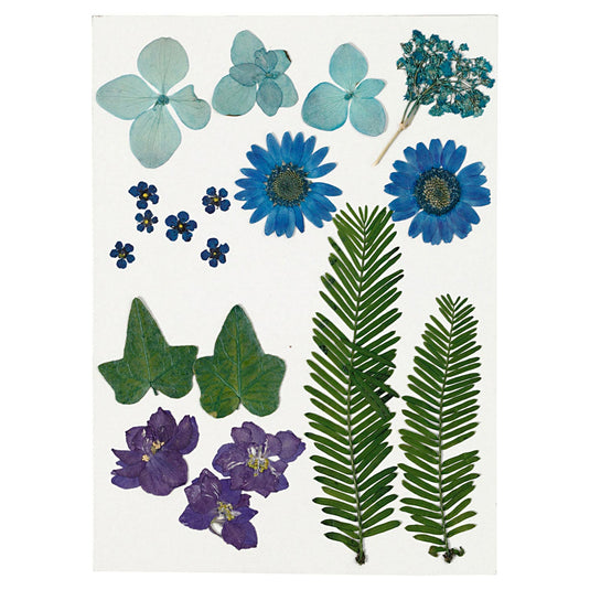 Creativ company gedroogde bloemen en bladeren blauw, 19dlg.