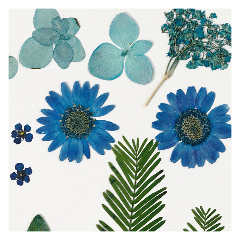 Load image into Gallery viewer, Creativ company gedroogde bloemen en bladeren blauw, 19dlg.
