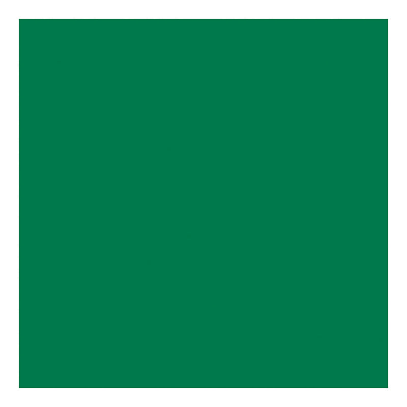 Load image into Gallery viewer, Creativ company tissuepapier, vel 50x70 cm, 17 gr, groen, 10 vel 1 doos
