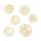 Creativ company http: www.cchobby.nl gedroogde-bloemen-d-3-5-cm-6-stuk-1-doos