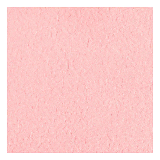Creativ company plaatskaarten, lichtrood, afm 9x4 cm, 220 gr, 20stuks