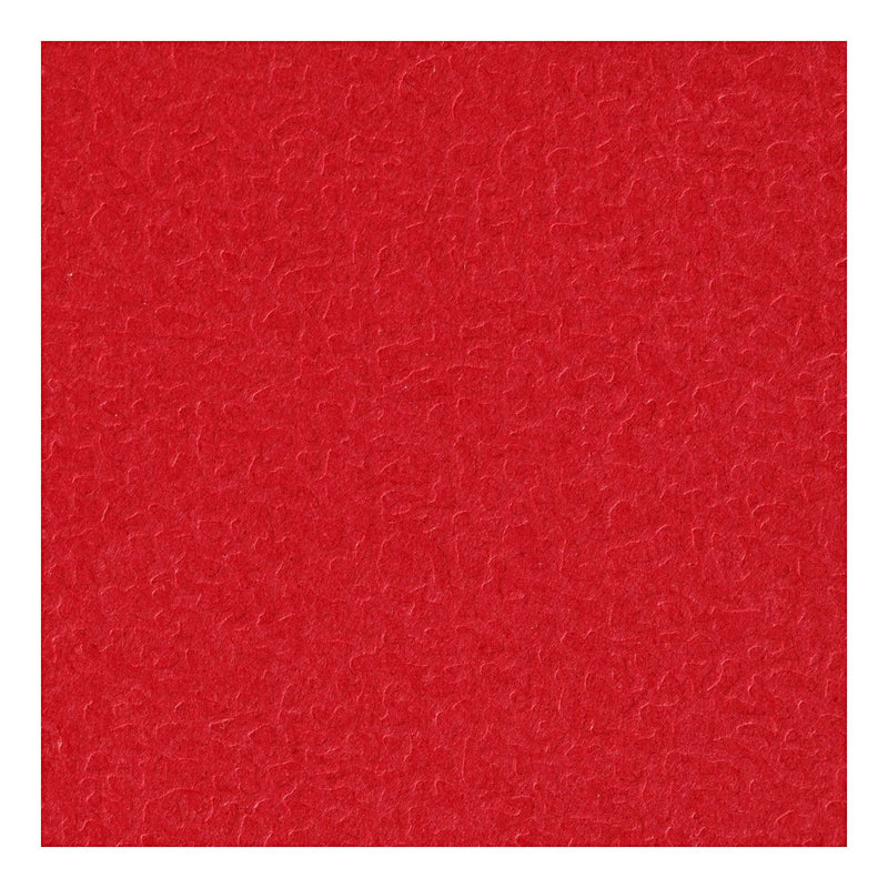 Load image into Gallery viewer, Creativ company karton, a4, vel 210x297 mm, 220 gr, rood, 10 stuk 1 doos
