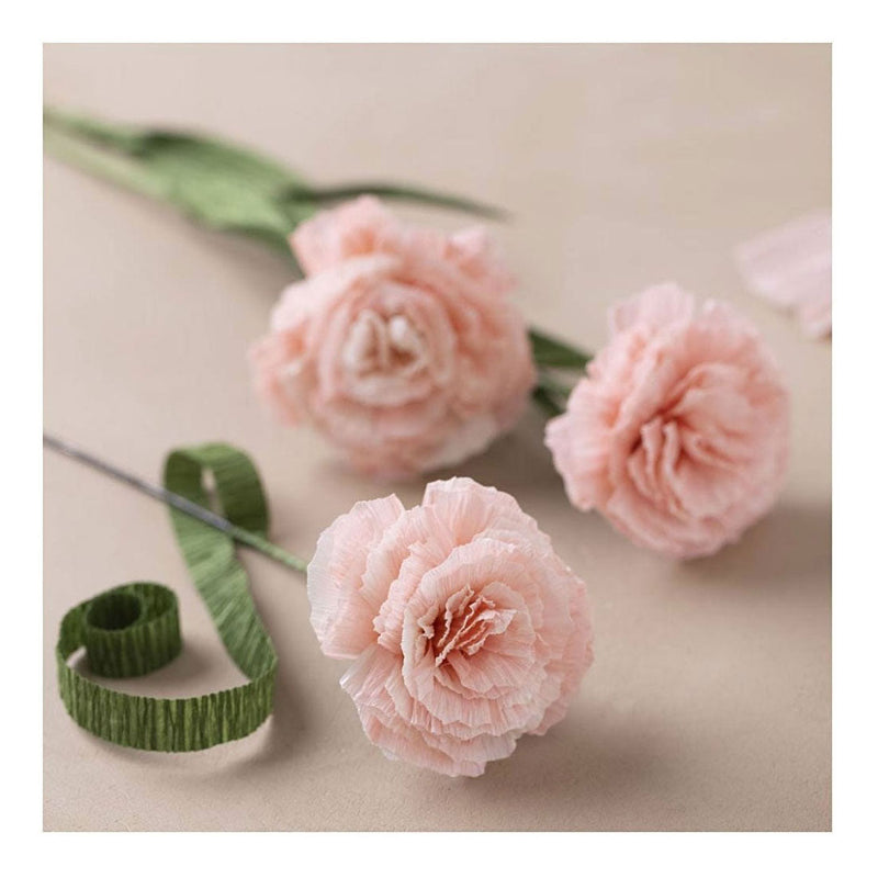 Load image into Gallery viewer, Creativ company https: www.cchobby.nl mini-hobbyset-crepepapier-anjers-crepe-verhouding-180-105-gr-1-doos

