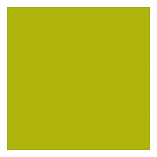 Creativ company http: www.cchobby.nl acrylverf-met-glitters-lime-groen-500-ml-1-fles