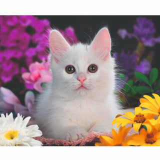 Load image into Gallery viewer, Ravensburger puzzel schitterend katje 100 xxl
