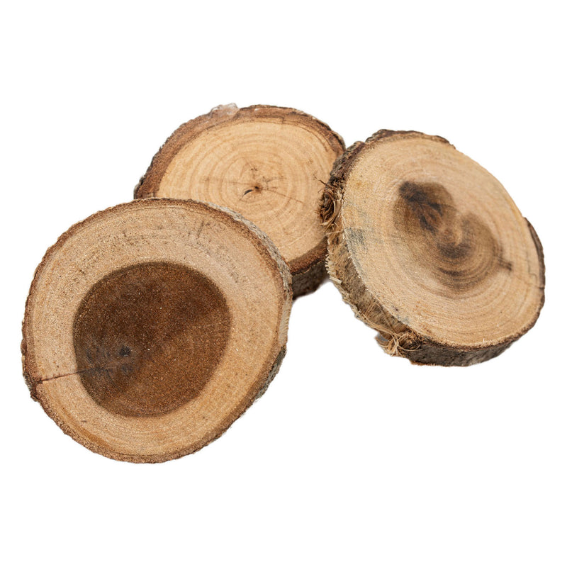 Load image into Gallery viewer, Colorations houten schijfjes knutselset 8-10cm 12 stuks creatief speelgoed.
