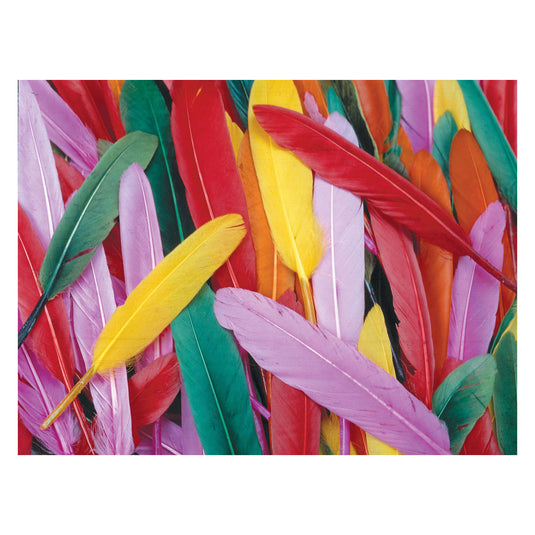 Colorations - gekleurde eendenveren, 28,5 gram