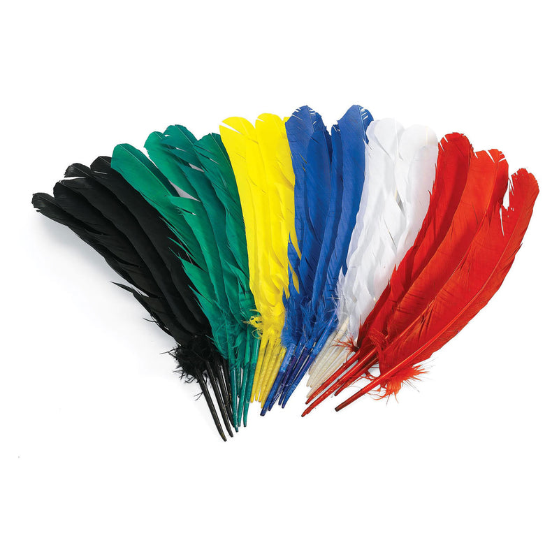 Load image into Gallery viewer, Colorations - veren 30cm, set van 24
