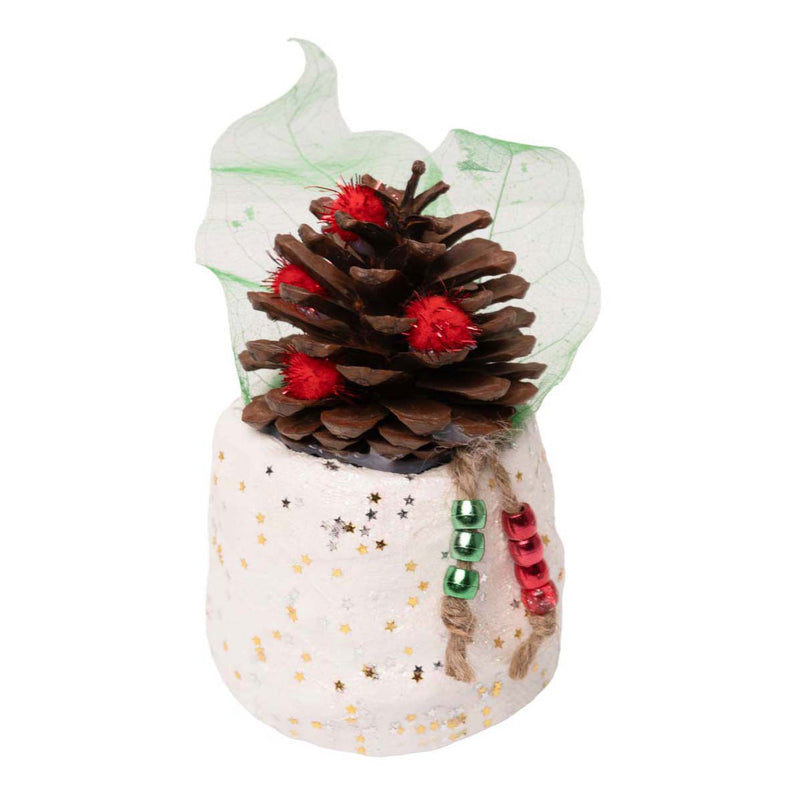 Load image into Gallery viewer, Colorations - gipsrol - 10cm x 3m, 5st.
