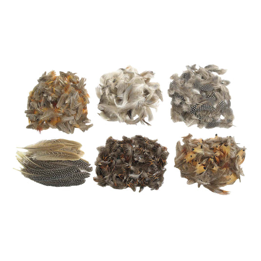 Colorations - natuurlijke veren