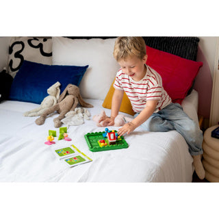 Load image into Gallery viewer, Smartgames | 2 stuks
