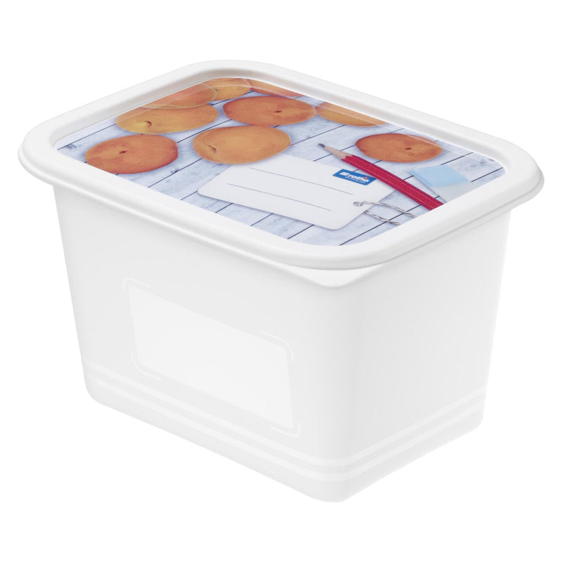 Load image into Gallery viewer, Rotho diepvriesdozenset 4-delig 1l
