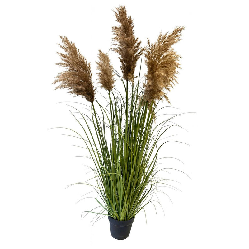 Load image into Gallery viewer, Deco plant met pampasgras 120cm in pot

