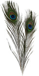 Creativ company pauwenveren, 10st.