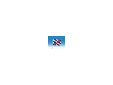 Zwaaivlag fryslan groot 50x70cm + stok