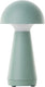 Brilliant navabi - buiten tafellamp - led 2w - ø 9.5 cm - 130 lm - 3000k - 3-steps dimbaar - usb oplaadbaar - ip44 - groen